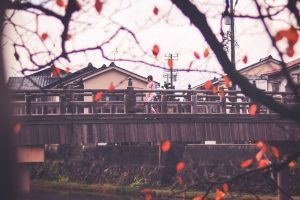 小さな橋の上に着物姿の女性が佇んでいる写真の画像