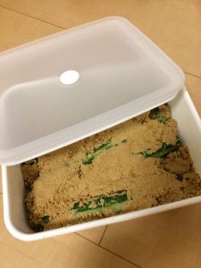 きゅうりが漬けられたぬか床の写真の画像