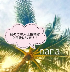 ヤシの木を下から撮影した写真の画像