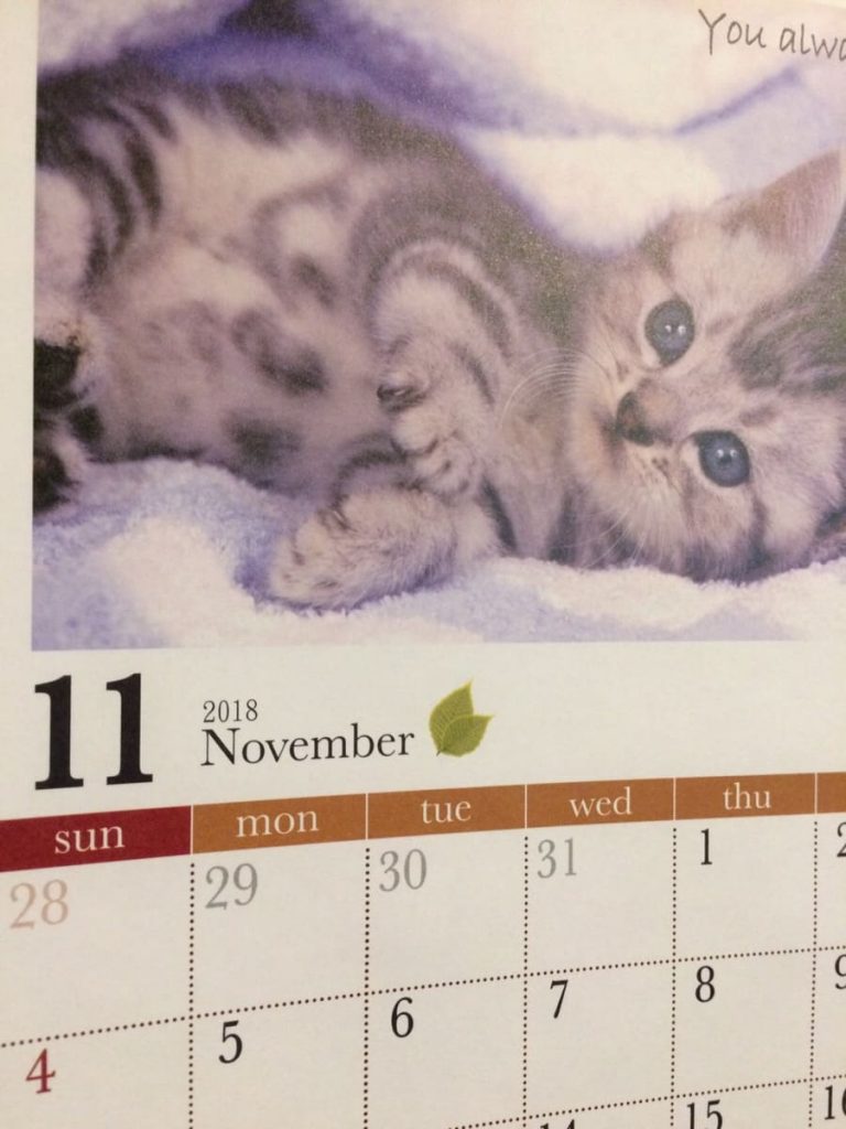 子猫の写真の11月のカレンダーの画像