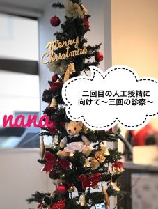 テディベアのついた大きなクリスマスツリーの写真の画像