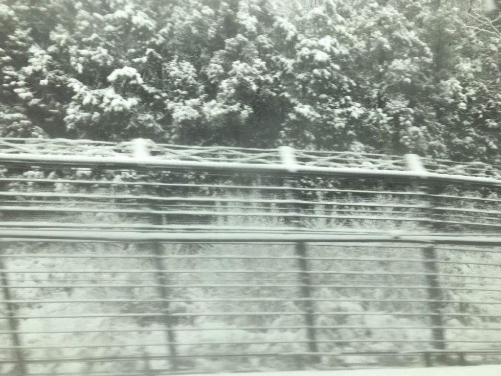雪景色の写真の画像