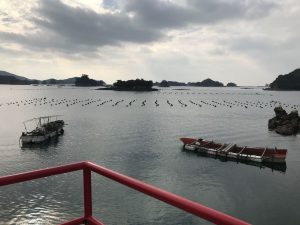 魚の養殖場と小島が浮かんだ海の風景の写真の画像