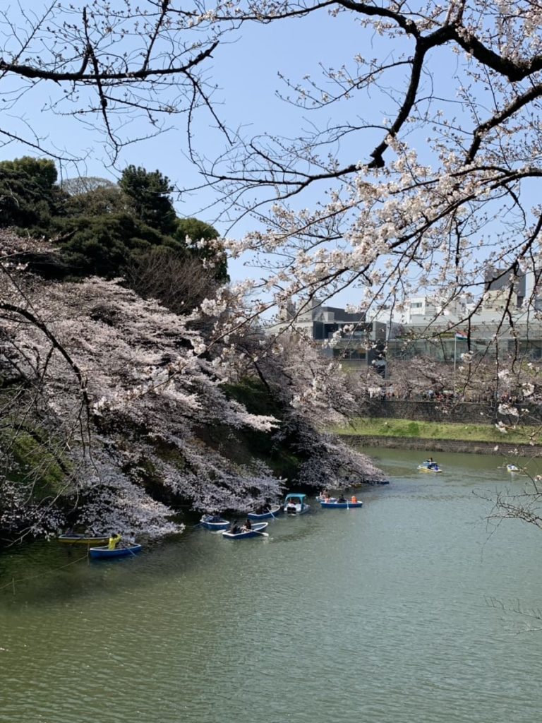 池と桜の写真の画像