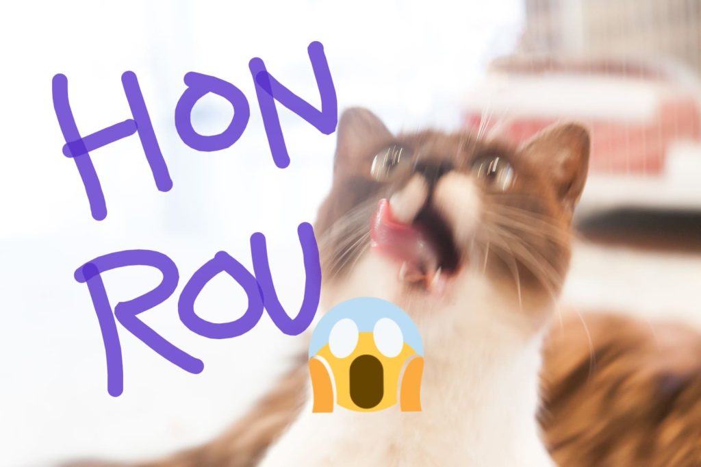 舌を出して驚いた表情をしているハチワレ猫の写真の画像
