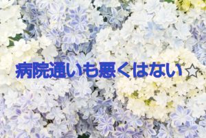 花の画像